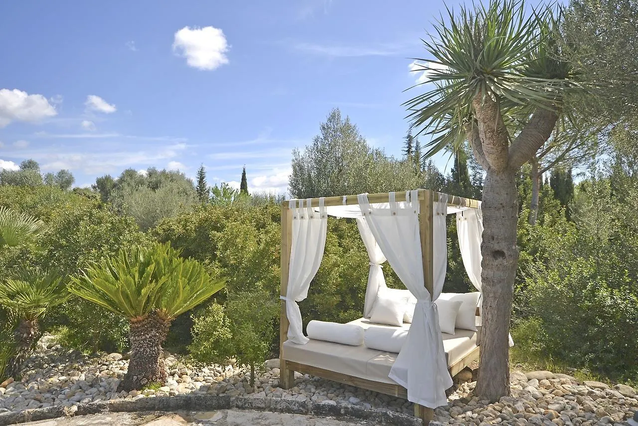 Villa Moli Búger